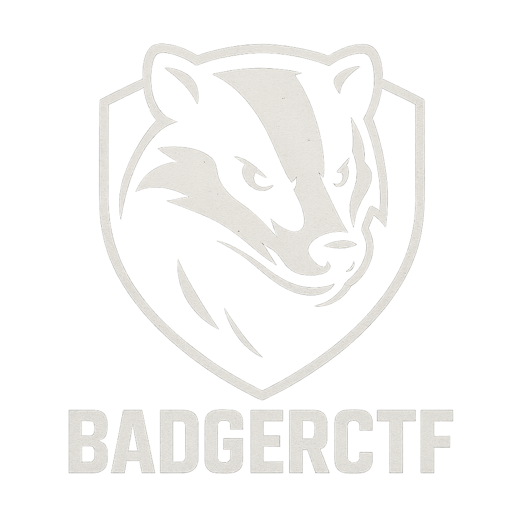 BadgerCTF